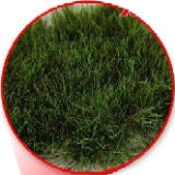 Grass Tufts XXL - 22mm Self-Adhesive - Dark Green