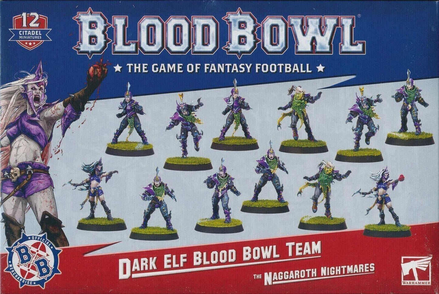 Blood Bowl: Dark Elf Team