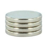 Primal Horizons Magnets: 1/2 X 1/16" (4)