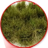 Grass Tufts XXL 22mm Dry Green