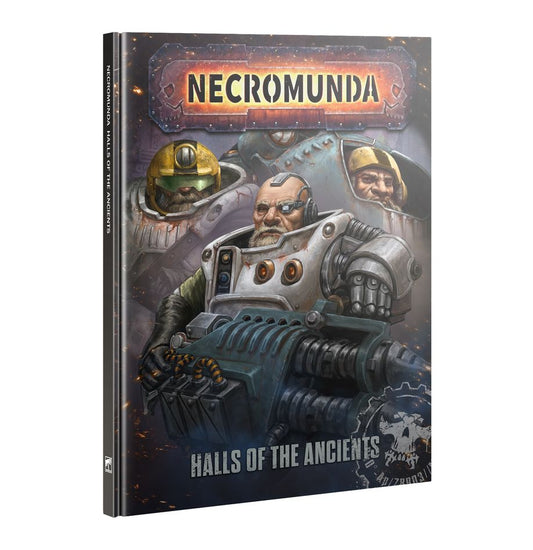 Halls of the Ancients Supplement Book